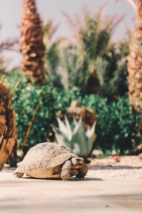 Riad Le Jasmin Taroudant Exterior photo