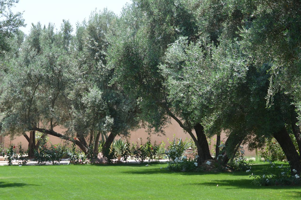 Riad Le Jasmin Taroudant Exterior photo